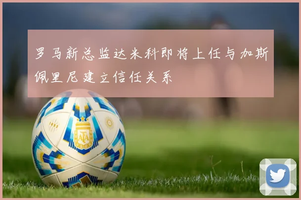 罗马新总监达米科即将上任与加斯佩里尼建立信任关系